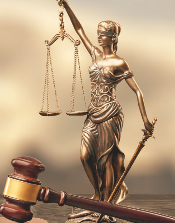 Advocate Ajay Kumar Yadav in professional practice