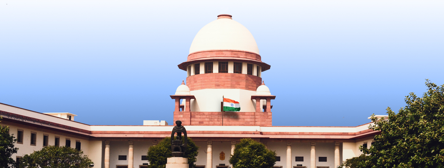 Court representation before District Courts, High Court and Tribunals